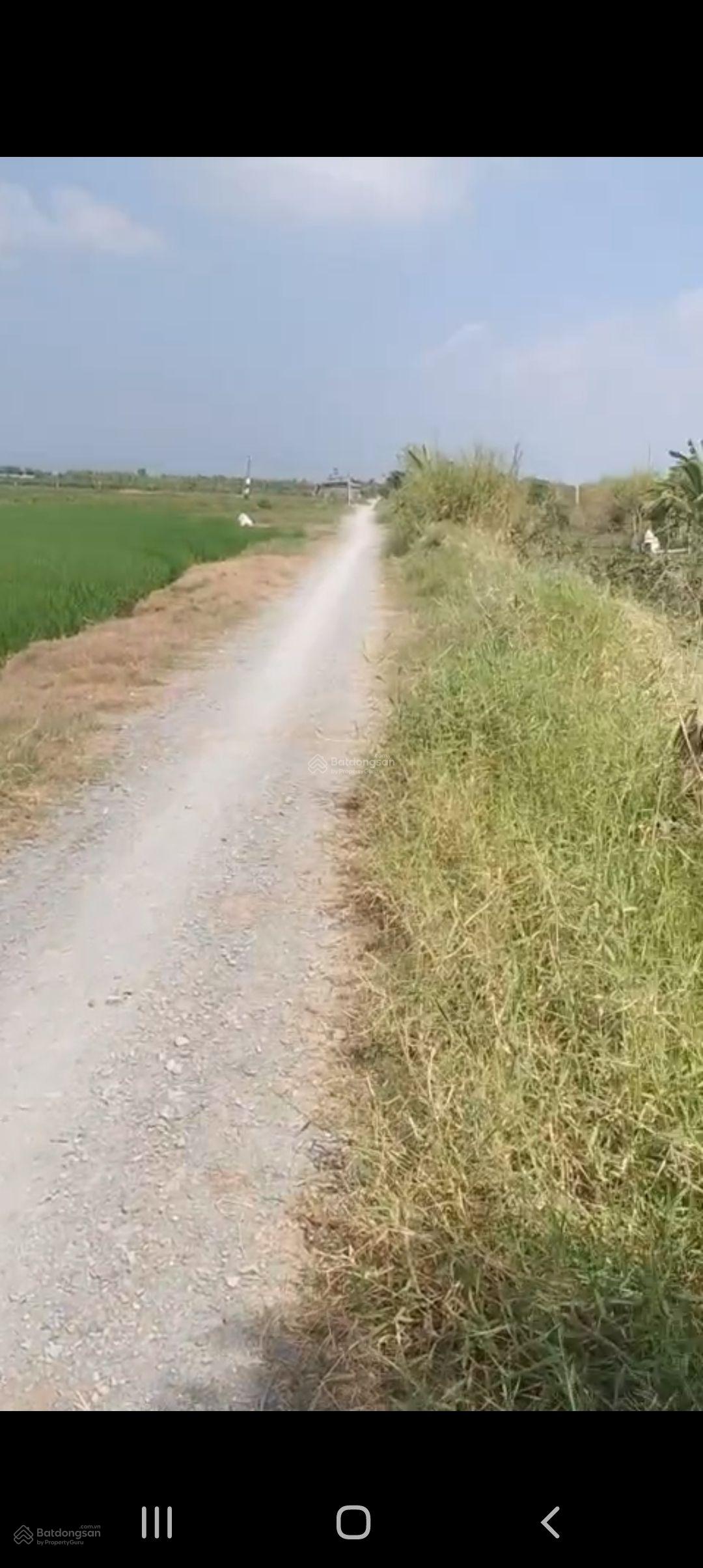 Đất lúa xã Kiểng Phước, Gò Công Đông Tiền Giang. 4.116m2 đường đá xe 7 chỗ, gần trung tâm 1,6tỷ TL