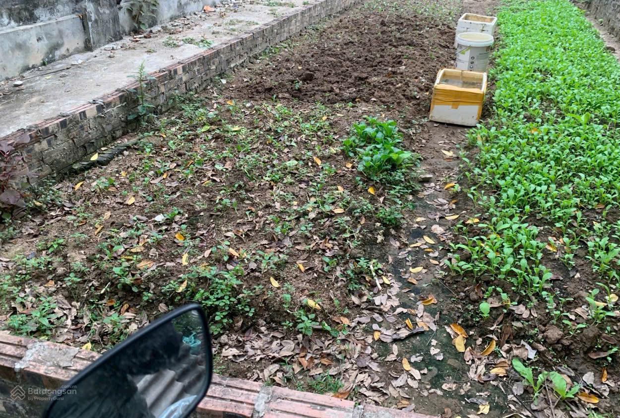 Duy nhất lô góc đẹp tại Đức Thượng Hoài Đức. Giá chỉ 8X triệu/m² cực hiếm khu vực