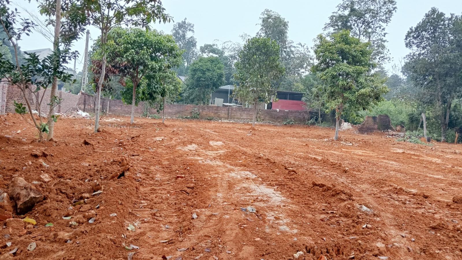 Bán lô đất view hồ view núi Ba vì diện tích 2040 m thổ cư 300 m giá 10 tỷ 500 tr