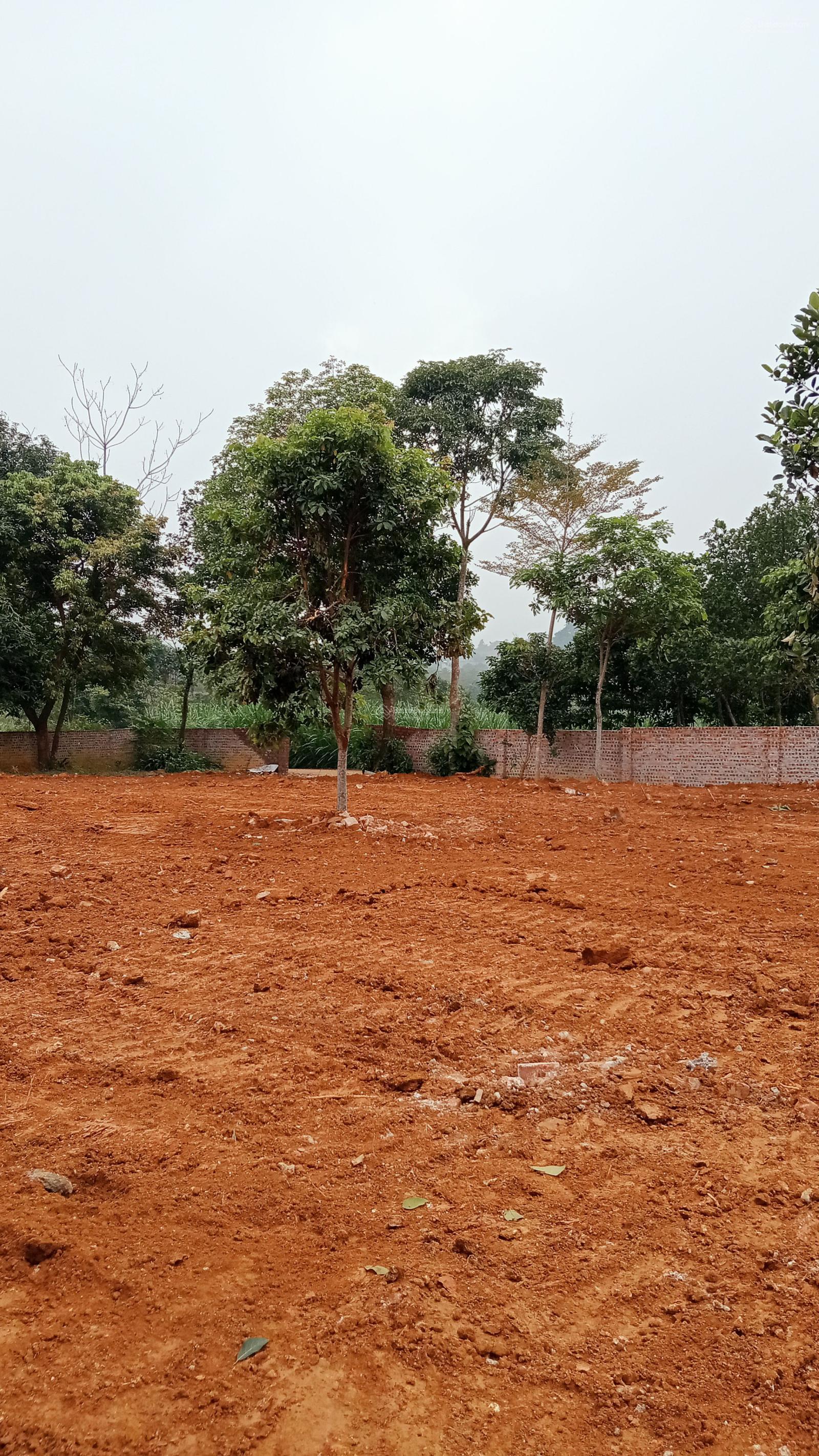 Bán lô đất tại Yên Bài Hà Nội 1070 m2 150m2 thổ cư mặt tiền 43 m, giá cần bán 5,2 tỷ