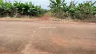 Bán đất 2ha Phú Mỹ BRVT Mặt tiền đường nhựa, gần Vành Đai 4, làm kho xưởng