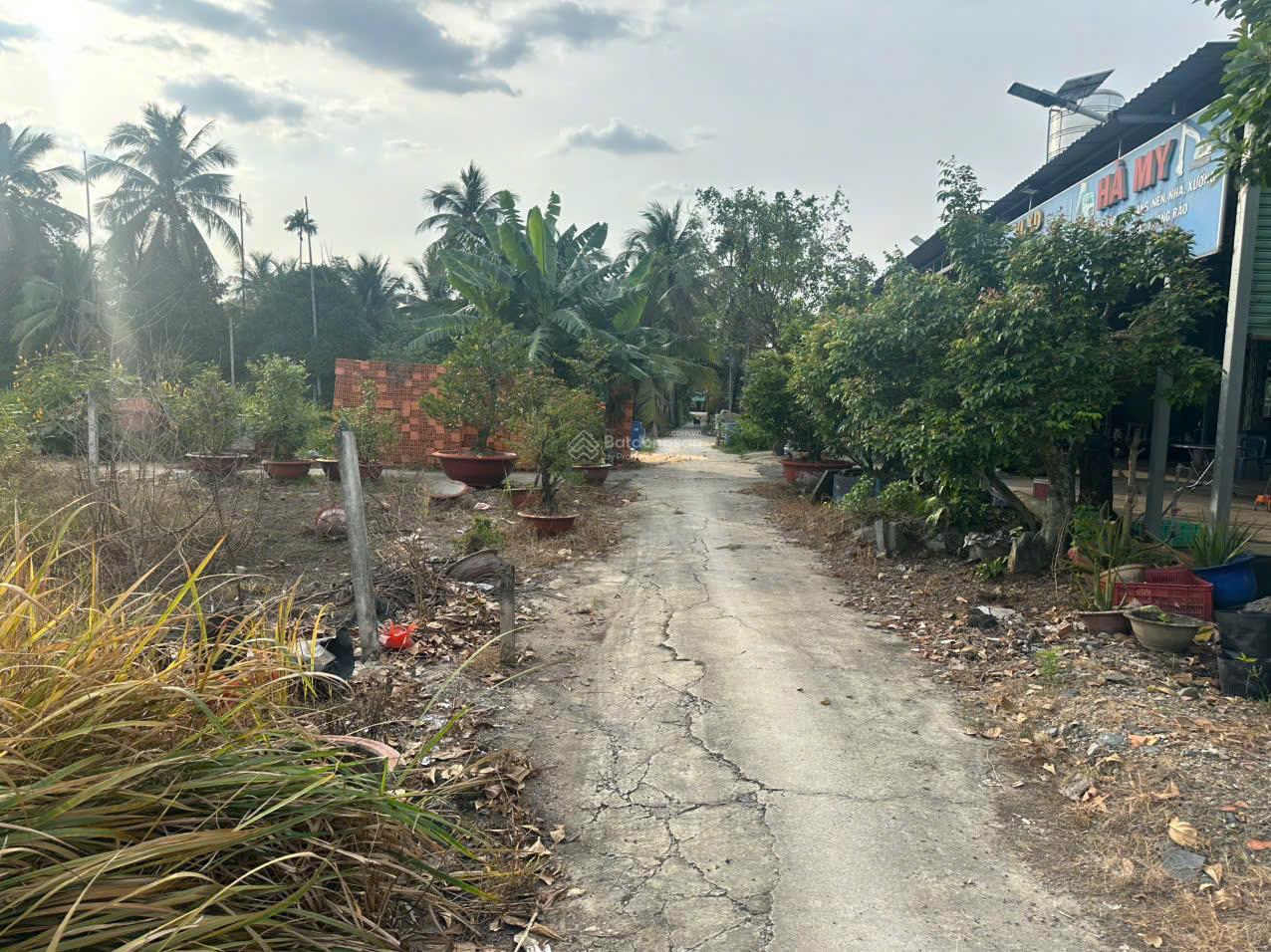 Đất thổ cư Bình Mỹ Củ Chi. 1/ đường Hà Duy Phiên vào 130m