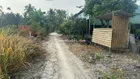 Đất thổ cư Bình Mỹ Củ Chi. 1/ đường Hà Duy Phiên vào 130m
