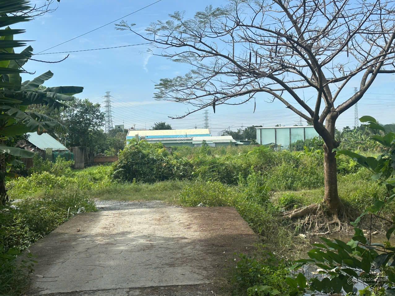 500m2 có 300m2 thổ cư. Bình Mỹ Củ Chi