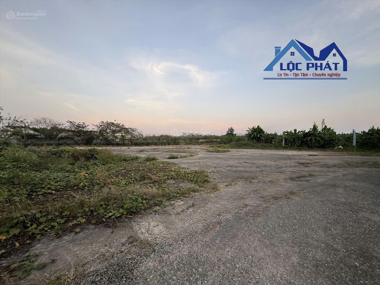 Bán nhà xưởng Phước Bình, Long Thành, Đồng Nai 6 ha chỉ 180 tỷ Bán nhà xưởng Phước Bình, Long Thành, Đồng Nai 6 ha chỉ 180 tỷ