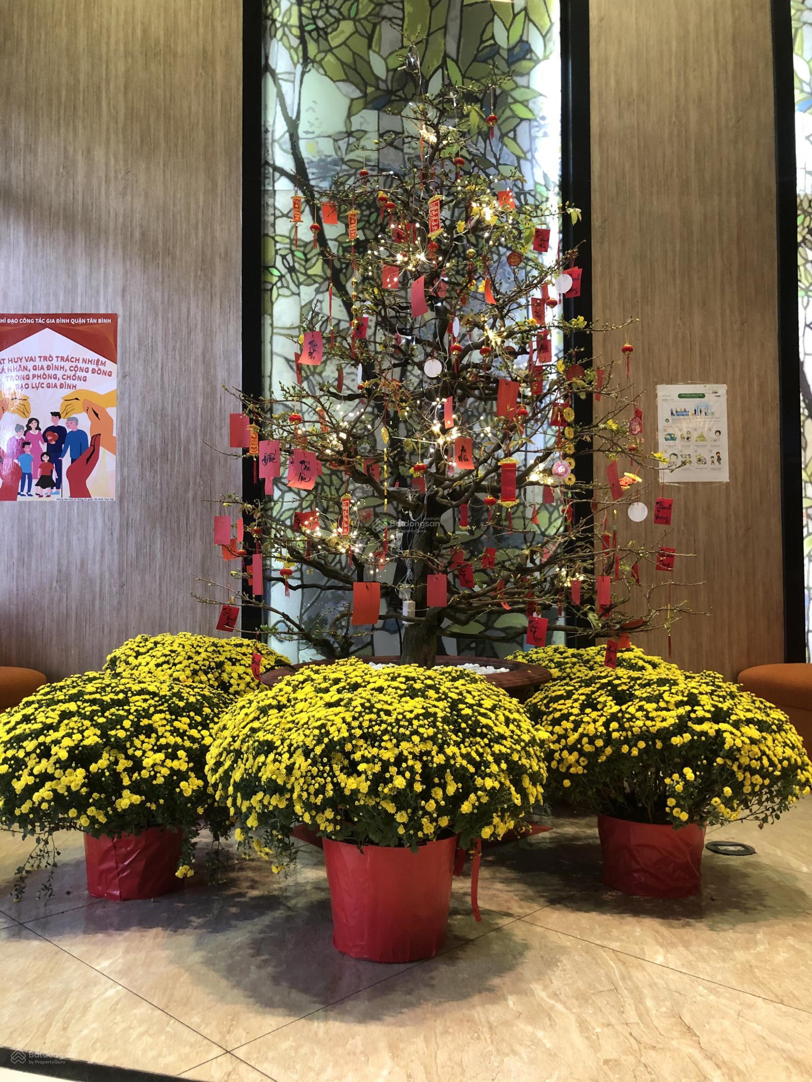 Chính chủ cần bán căn hộ Botanica Premier - CDT Novaland 3PN, 2WC giá 7,8 tỷ tầng cao view sân bay