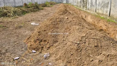 1700m2 Thổ cư mặt tiền Nguyễn Hữu Trí Cách nút giao 2 cao tốc & Vành Đai 3 chỉ 2,3km
