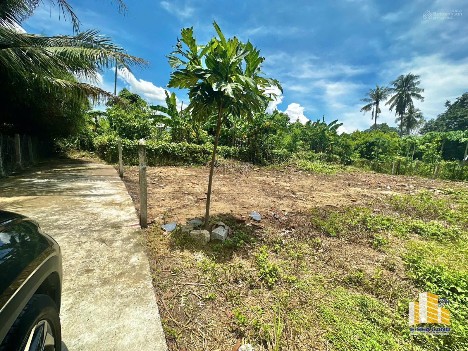 BÁN LÔ ĐẤT VUÔNG VẮN Ở DIÊN KHÁNH - GIÁ RẺ