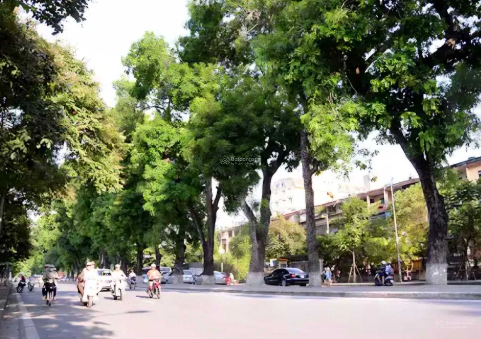 GẦN 220M ĐẤT VÀNG KIM MÃ BA ĐÌNH
Tài sản dành cho người thật sự hiểu giá trị GẦN 220M ĐẤT VÀNG KIM MÃ BA ĐÌNH
Tài sản dành cho người thật sự hiểu giá trị