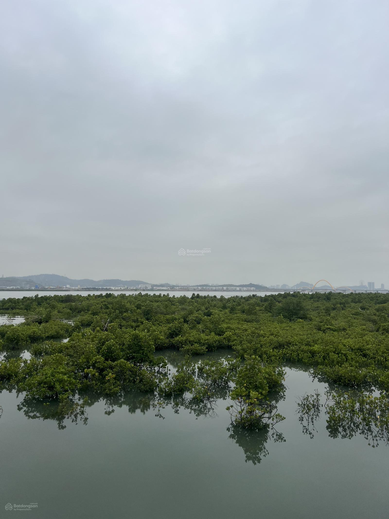 BÁN ĐẤT DIỄN LOAN THỐNG NHẤT HOÀNH BỒ QUẢNG NINH