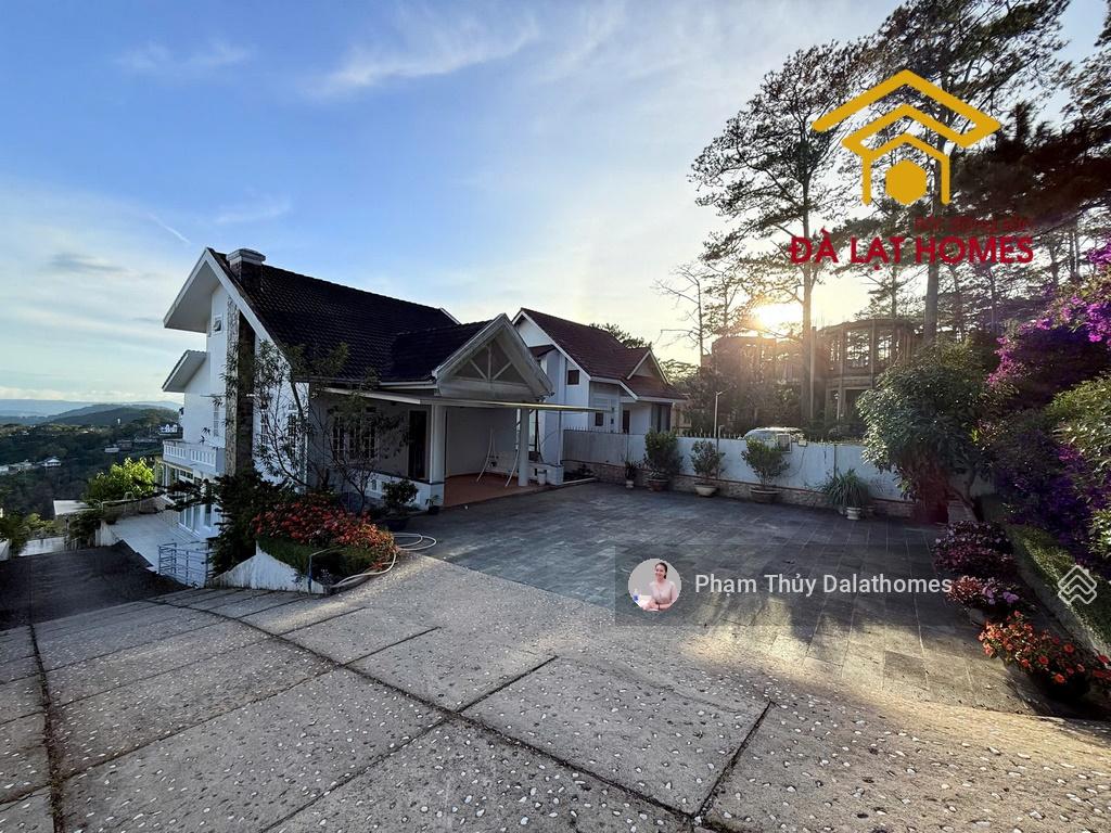 Khu đất đối diện khuôn viên Dinh II Bảo Đại Đà Lạt, mặt tiền Khởi Nghĩa Bắc Sơn thông xanh bao phủ