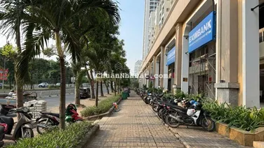 Cho thuê căn hộ Green View Phú Mỹ Hưng, Quận 7