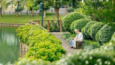 Chung cư giá rẻ nhất Mizuki (3/2026): Căn 97.41m2 giá 6.052 tỷ (hàng CĐT), (sổ sẵn)