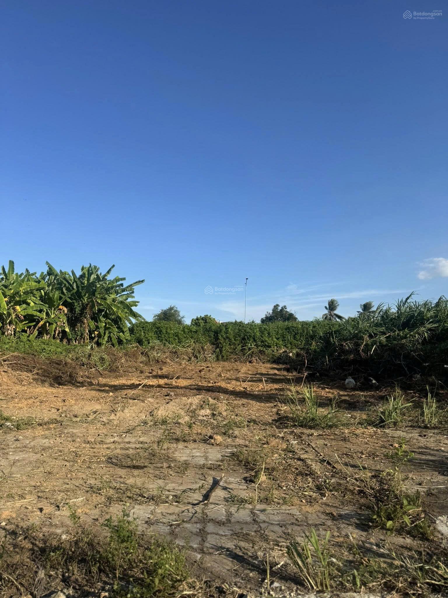 Bán đất đường Bàu mạc 21, Liên Chiểu, song song Võ An Ninh, gần biển, giá 5 tỷ 270 Tl