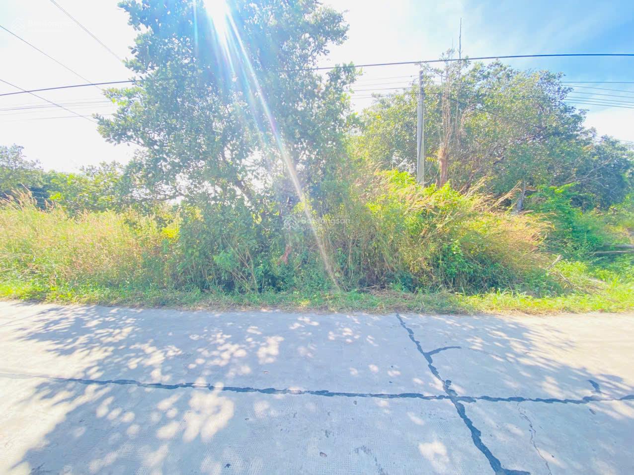 Bán 15m x 30m đất full thổ cư Đường Số 14, Tân Xuân, Hàm Tân giảm 50% còn 1 tỷ sổ riêng