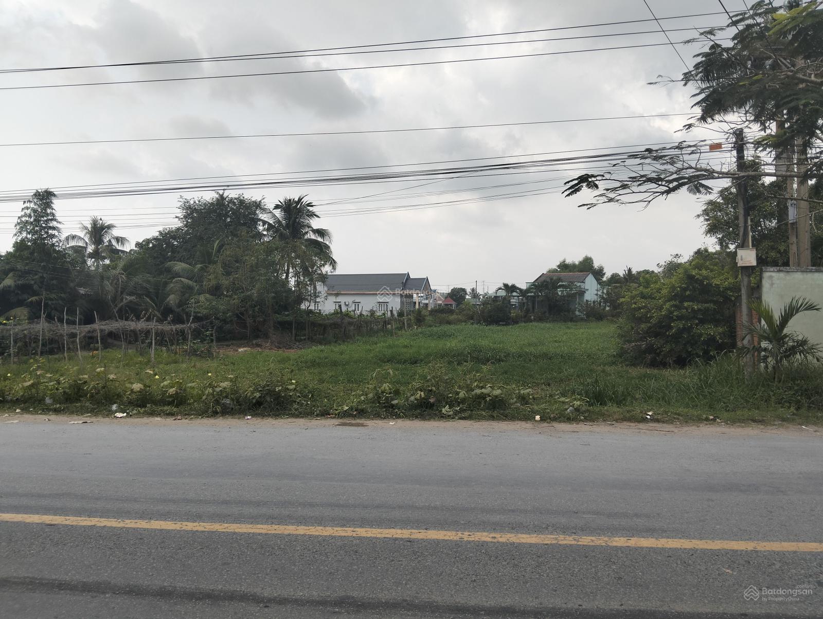 1784m2 đất mặt tiền đường nhựa Mỹ Yên - Tân Bửu sát Bình Chánh