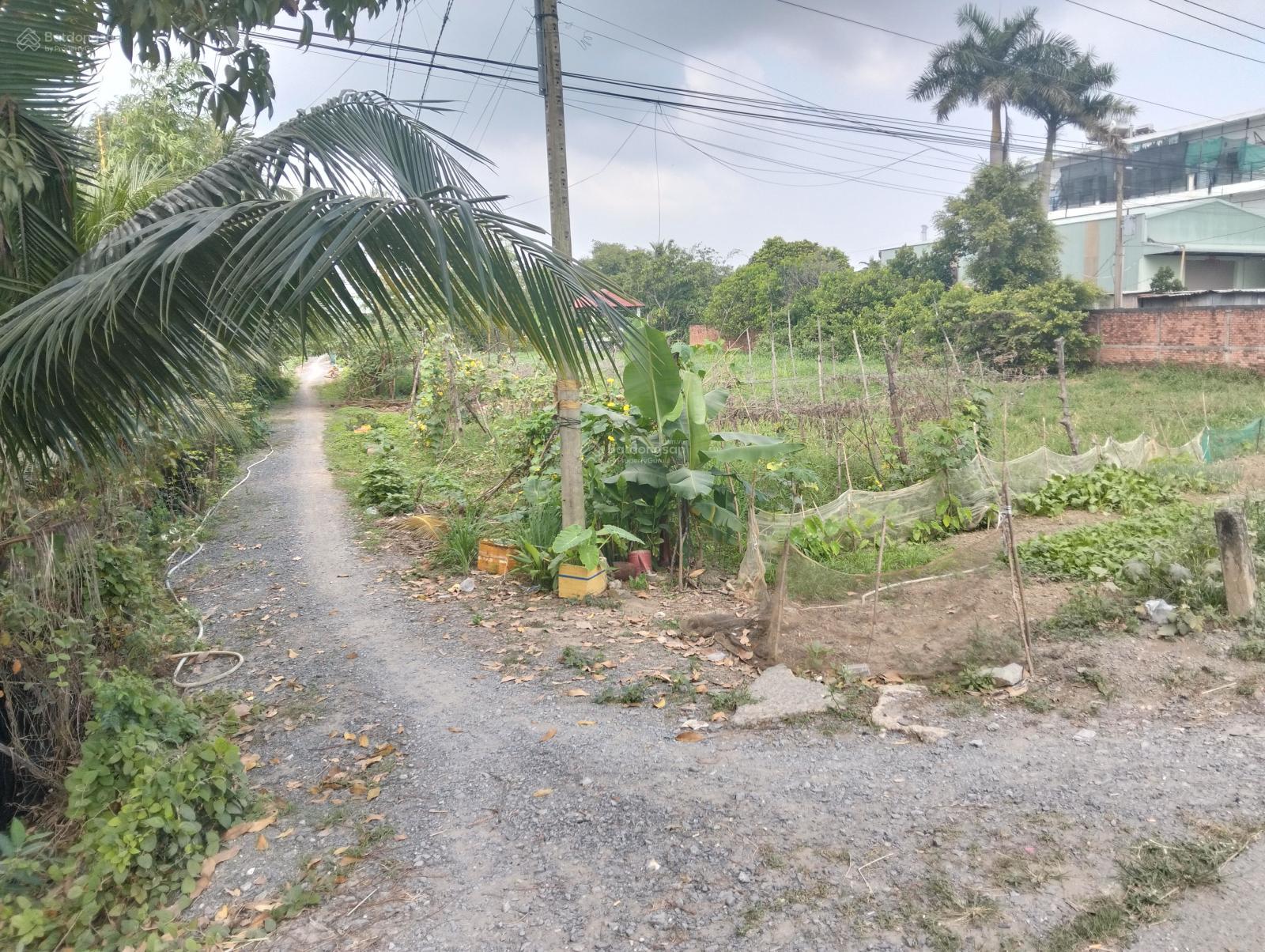 1784m2 đất mặt tiền đường nhựa Mỹ Yên - Tân Bửu sát Bình Chánh