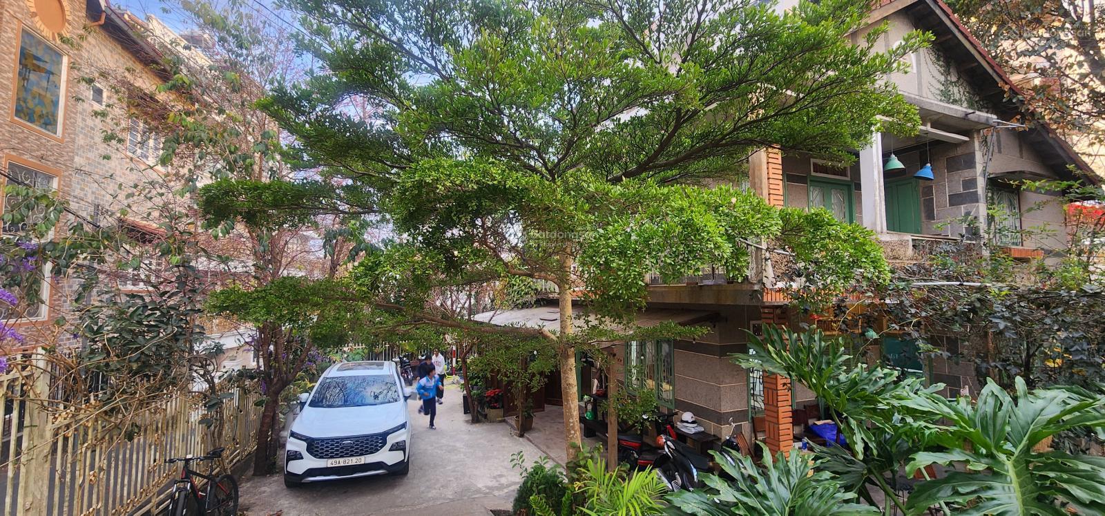 CHIẾC NHÀ CỔ XƯA ĐÀ LẠT SÂN VƯỜN HAI MẶT TIỀN THOÁNG