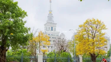 Bán nhanh căn 48m2 The Paris 3 tỷ 280 triệu Vinhomes Ocean Park