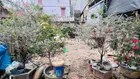 PHÚC LỢI, LONG BIÊN, DT 41M, MT 4.5M GIÁ CHỈ HƠN 6 TỶ, Ô TÔ ĐỖ CỬA, GẦN TRƯƠNG HỌC CÁC CẤP