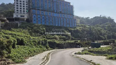 ĐẤT ĐẸP TAM ĐẢO VỊ TRÍ ĐẮC ĐỊA GIỮA MÂY TRỜI TẠI THỊ TRẤN TAM ĐẢO 425 m2 X 15m2 MT