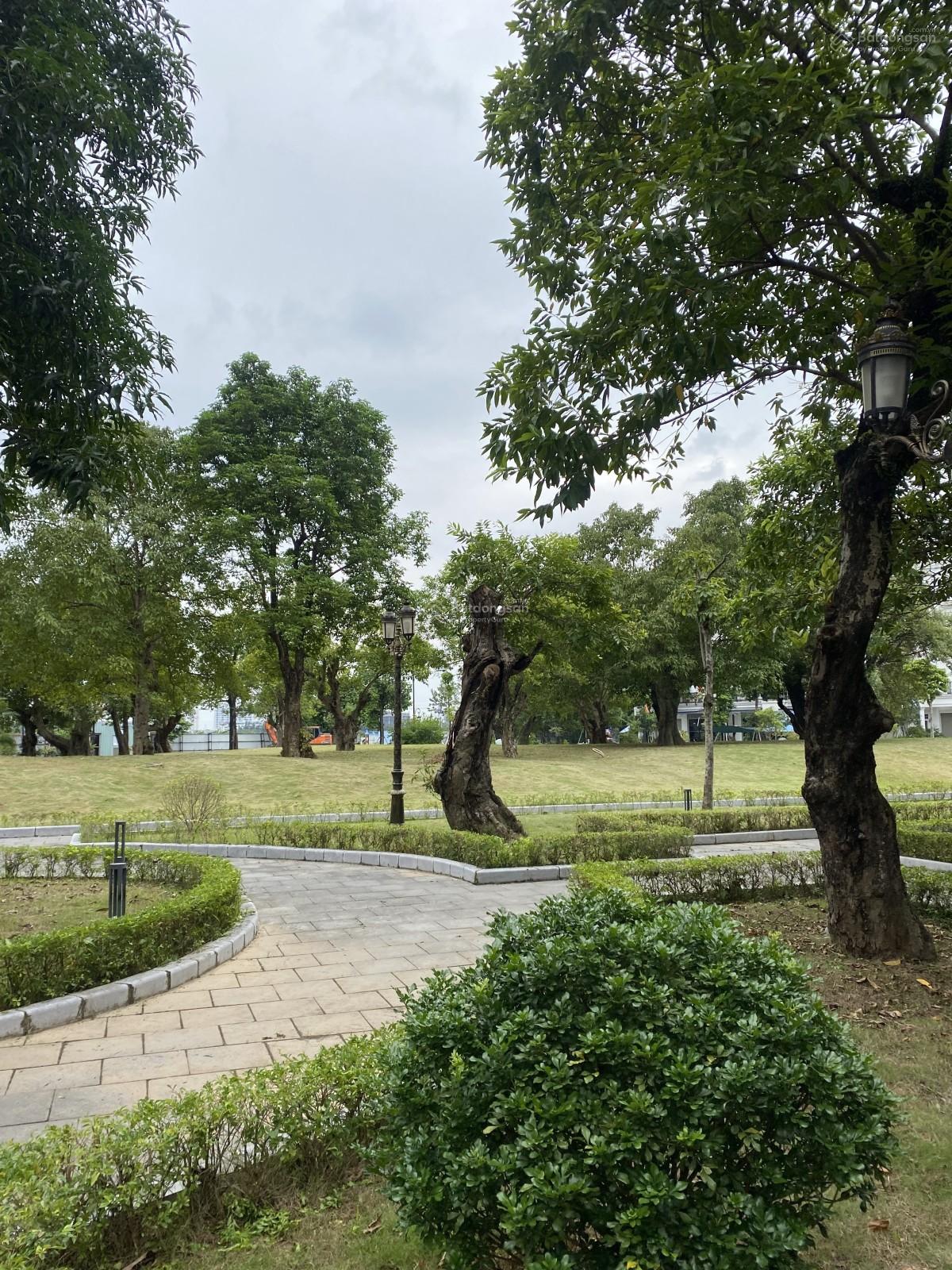 Bán nhà Louis Đại Mỗ 110m2 5 tầng Mặt Tiền 5.2m Hơn 28 tỷ View Công Viên ôtô tráh Vỉa Hè 0976 052 *** Bán nhà Louis Đại Mỗ 110m2 5 tầng Mặt Tiền 5.2m Hơn 28 tỷ View Công Viên ôtô tráh Vỉa Hè 0976 052 ***