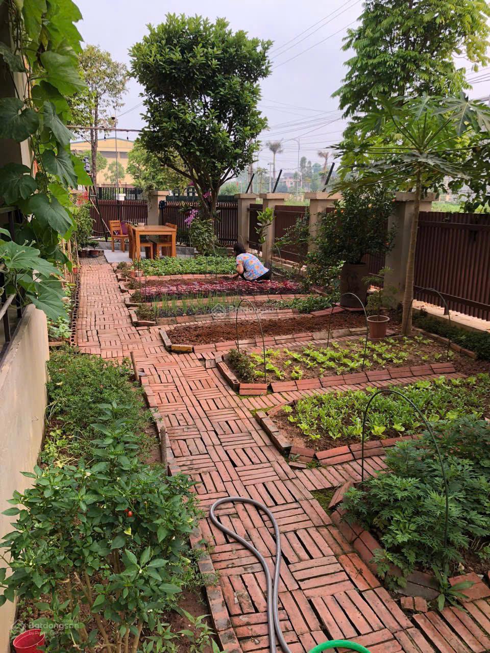 Chính chủ bán biệt thự song lập - Lô góc 3 mặt thoáng Sunny Garden City - Sài Sơn, Quốc Oai, Hà Nội