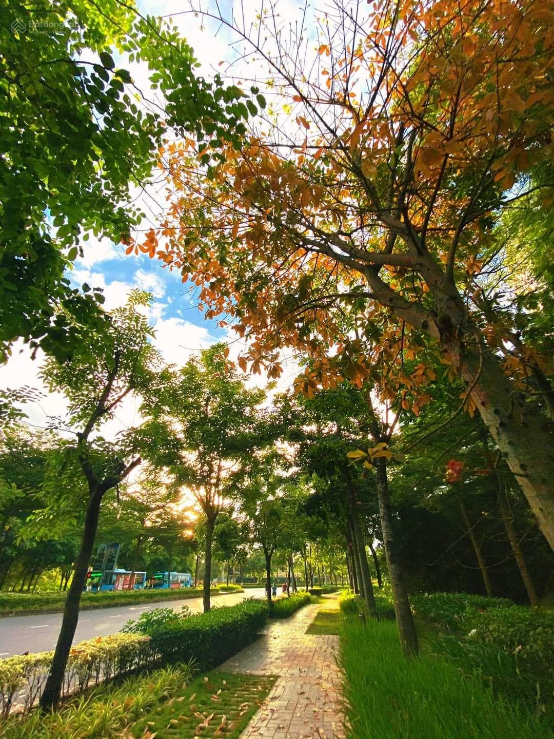 Bán chung cư 2PN 2VS tòa The Two, Gamuda, Hoàng Mai, Hà Nội (giá tốt nhất)