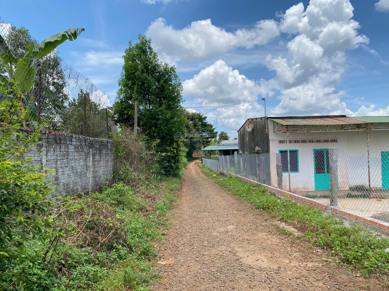 Biệt thự vườn view ruộng 8.839m2 sẵn 800m thổ cư chỉ 3, x tỷ gần biển hồ PleiKu