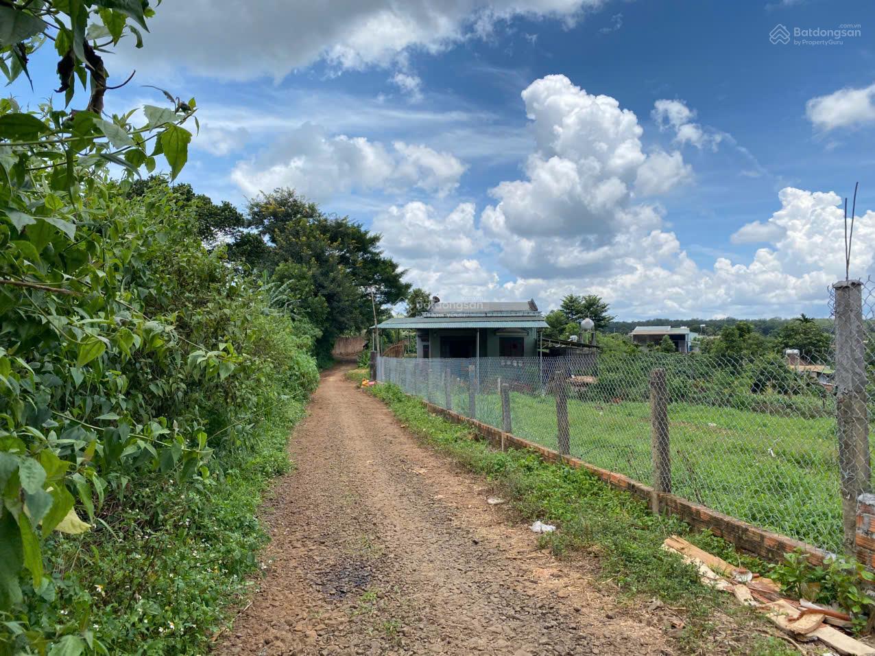 Biệt thự vườn view ruộng 8.839m2 sẵn 800m thổ cư chỉ 3, x tỷ gần biển hồ PleiKu