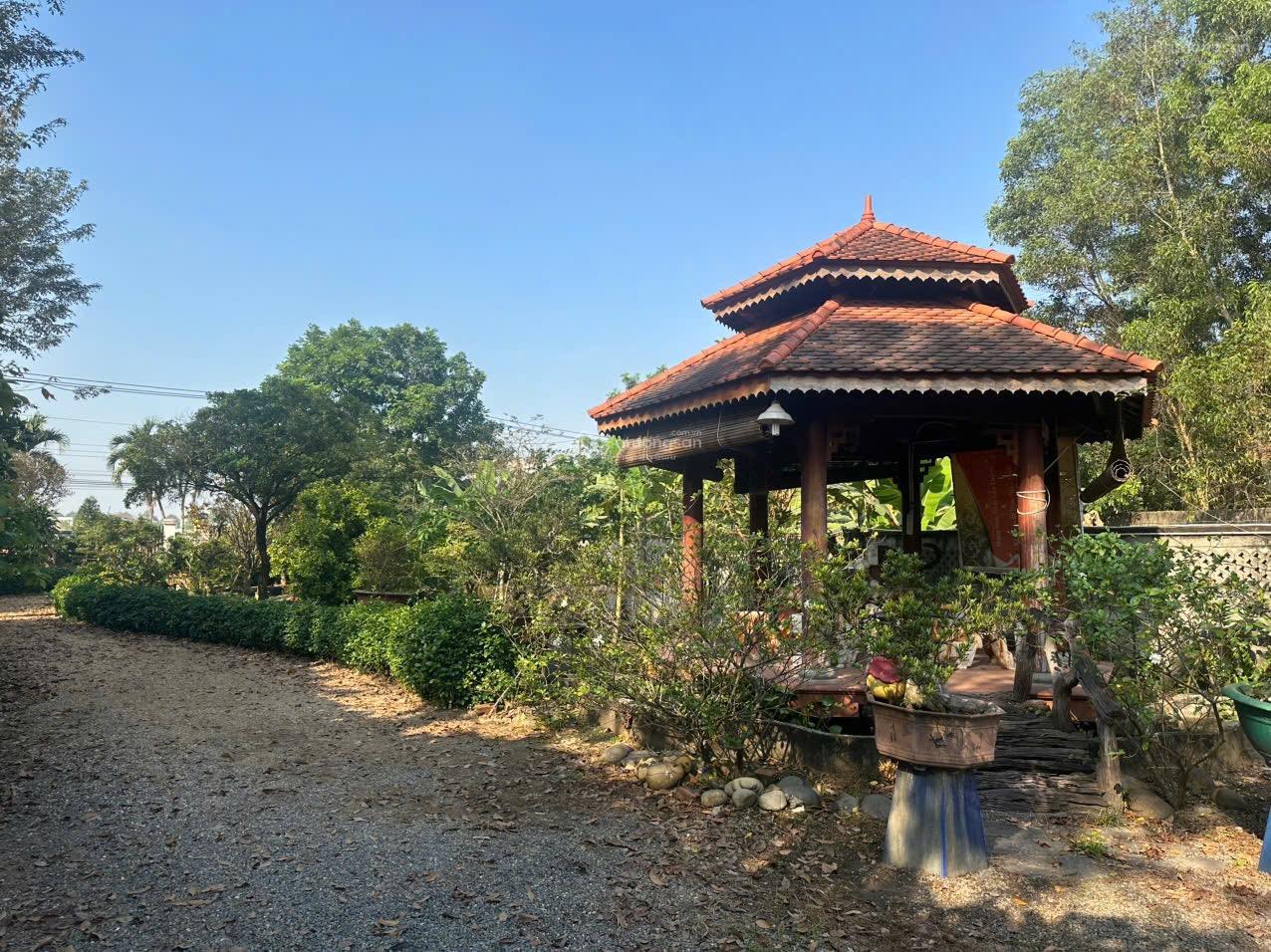 Bán gấp đất ở Tân Định - Bến Cát có sẵn nhà vườn cây cối và nội thất cơ bản giá chỉ 15tr5/m2