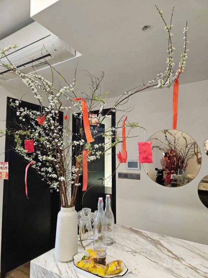 [Chuyển nhượng] Feliz En Vista tháng 01/2026 - Nguyễn Trúc - 0934 066 ***