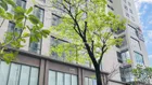 Cho thuê căn 2 phòng ngủ - Nhận nhà mới 100% - Chung cư Green River Quận 8 chỉ 8.5tr/th