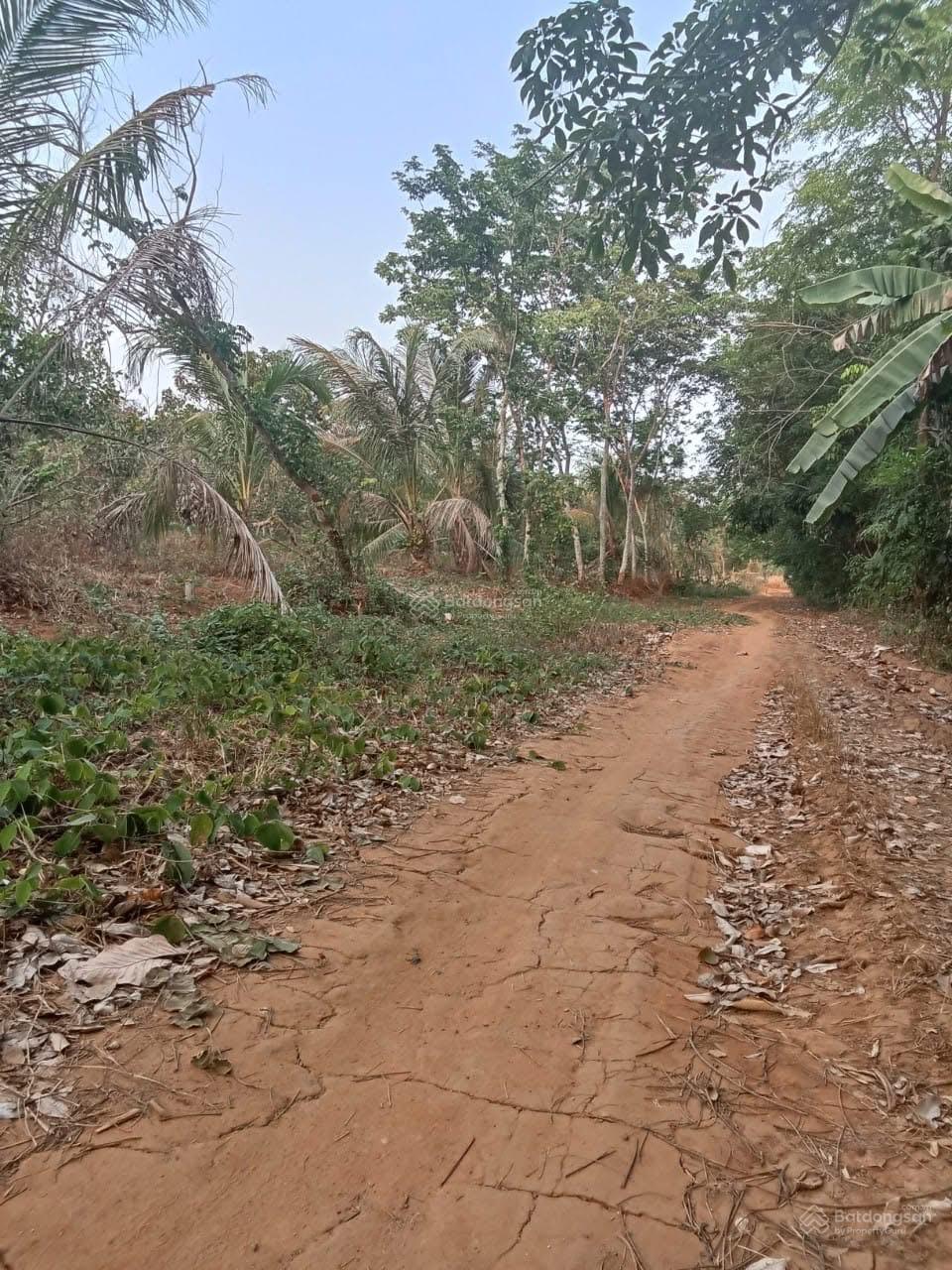 Bán đất tại K54 xã Lộc Thiện, Huyện Lộc Ninh, Bình Phước, 1 tỷ, 1013m2 giá ưu đãi uy tín