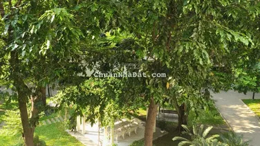 Bán Hưng Vượng 2, DT sàn 89m2, 2PN 2WC giá 4tỷ750 sổ hồng đầy đủ: LH 0909 664 ***