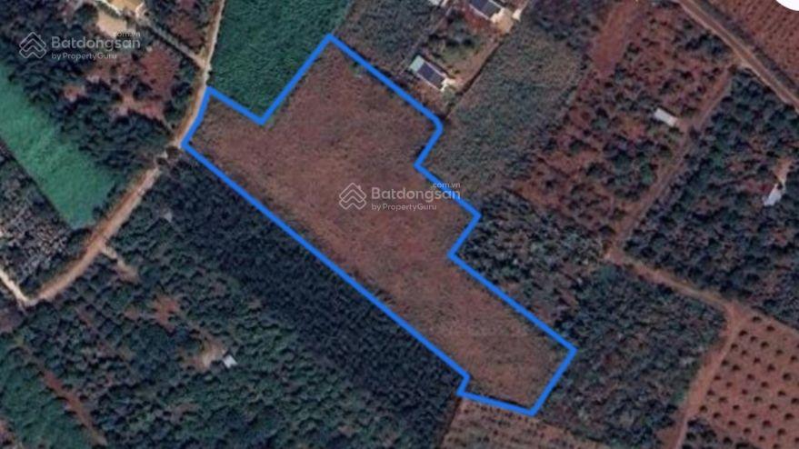 Cần bán gấp 9111 m2 đất thuộc xã Láng Lớn Bà Rịa Vũng Tàu cực mềm 12,5 tỷ có thương lượng