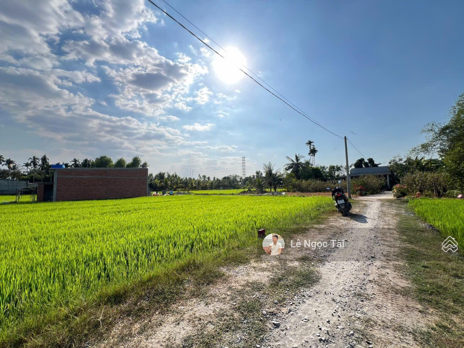 Đất Xây nhà 5x25m giá 620tr và 10x25m giá 1ty2 ô tô tới đất Đất Xây nhà 5x25m giá 620tr và 10x25m giá 1ty2 ô tô tới đất