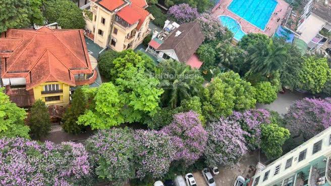 Bán CHCC tại Làng Quốc Tế Thăng Long Trần Đăng Ninh, Cầu Giấy 58,5m2 2n 2vs nhà đẹp tầng trung