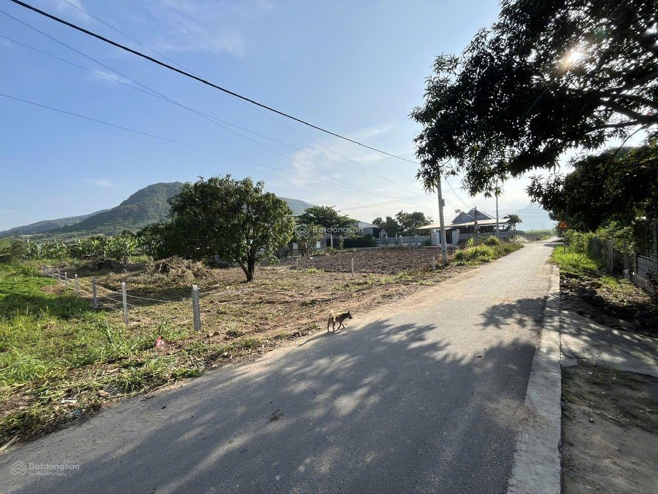 Chỉ 3.3 tr / m2 sở hữu đất xã Cam An Bắc - Cam Lâm, ngang 15 mét mặt tiền, đường quy hoạch 20 mét. Chỉ 3.3 tr / m2 sở hữu đất xã Cam An Bắc - Cam Lâm, ngang 15 mét mặt tiền, đường quy hoạch 20 mét.