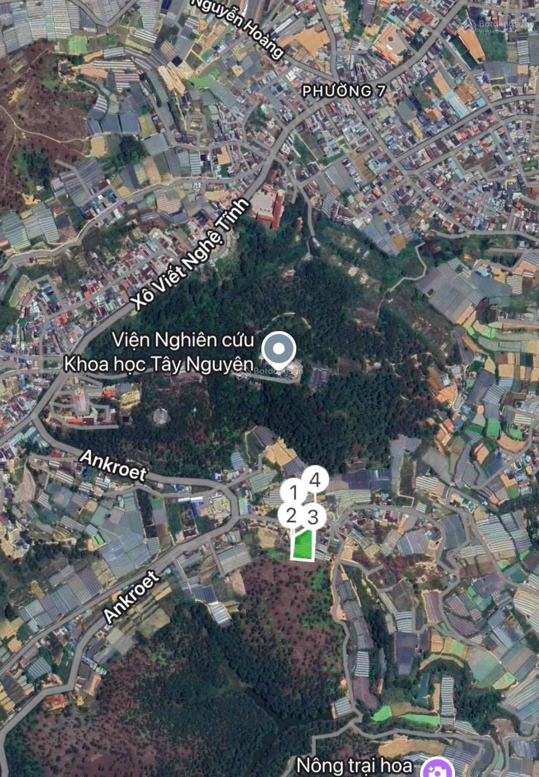 30 tỷ cho 3.200m2 có 200m2 TC cách chợ đêm 6km view đồi thông 30 tỷ cho 3.200m2 có 200m2 TC cách chợ đêm 6km view đồi thông