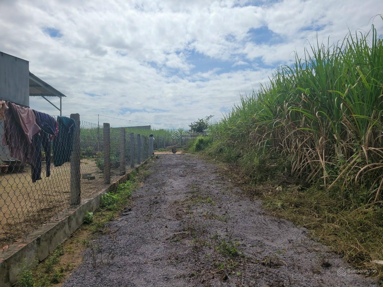 Sở hữu ngay 310m2 đất có 180m2 thổ cư ngang 9m siêu đẹp - phù hợp đầu tư, làm nhà vườn