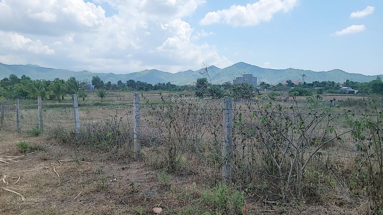 Sở hữu ngay 310m2 đất có 180m2 thổ cư ngang 9m siêu đẹp - phù hợp đầu tư, làm nhà vườn