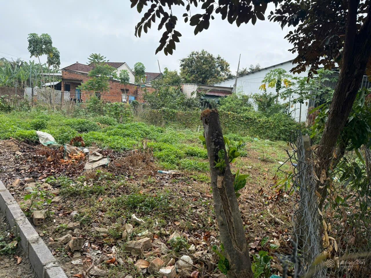 Bán gấp đất tại Xã Diên Lạc, Huyện Diên Khánh, Khánh Hoà, 1,15 tỷ, 125,4 m2