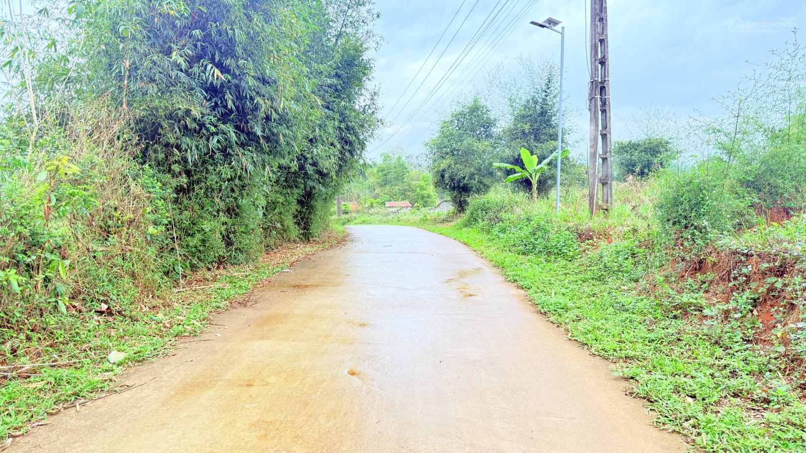 Tại Cao Phong, Hoà Bình (nay là Phú Thọ) chỉ 1.1 tỷ đồng trên tổng DT 2126m2 lô góc Tại Cao Phong, Hoà Bình (nay là Phú Thọ) chỉ 1.1 tỷ đồng trên tổng DT 2126m2 lô góc