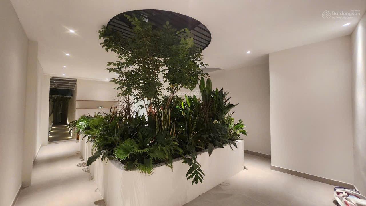 117m2-Hẻm Xe Hơi Kế Mặt Tiền NGUYỄN HỮU CẢNH-Ngang 5M-Thang Máy-Đang Thuê 50Tr/th-4Tầng-CHỈ 155Tr/m 117m2-Hẻm Xe Hơi Kế Mặt Tiền NGUYỄN HỮU CẢNH-Ngang 5M-Thang Máy-Đang Thuê 50Tr/th-4Tầng-CHỈ 155Tr/m