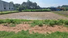 Đất ngộp ngân Xã Củ Chi 130m2 mặt tiền đường 16, đi QL22 chỉ 450m giá 1,4 tỷ