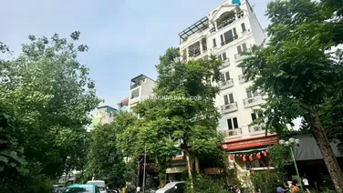 Bán gấp nhà riêng ngõ Trần Quang Diệu, Đống Đa. DT 66m2 - MT 4m - 3 mặt thoáng, cách oto tránh 30m