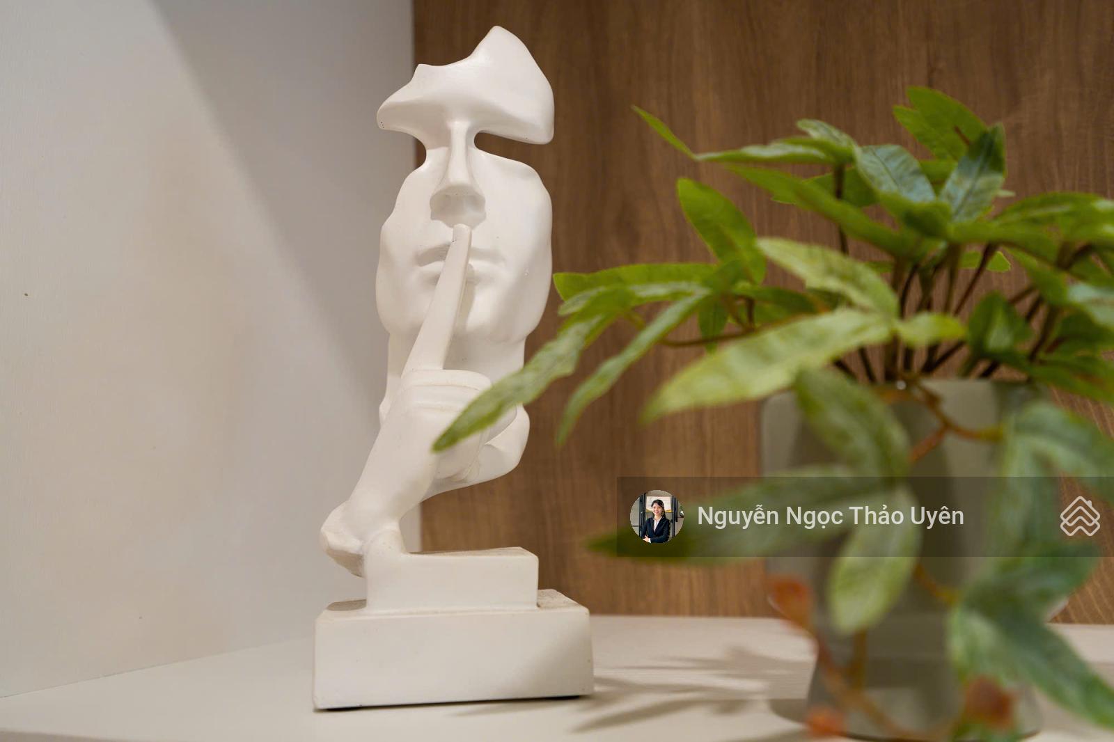 Sky Linkesd Villa full nội thất 178m2, giá 35tr, gara 40m2