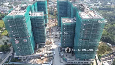 Sale CĐT tư vấn rổ hàng Elysian CĐT/Chuyển nhượng/Ký gửi theo yêu cầu