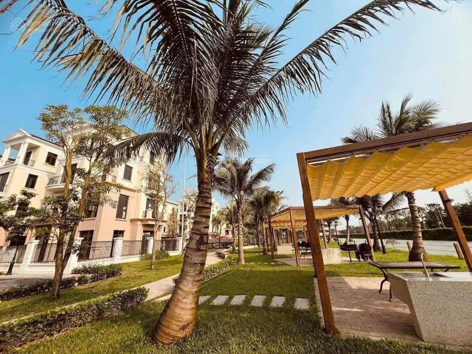 RẺ VÔ ĐỊCH XẺ KHE 98M ĐẢO DỪA 13,5 TỶ VINHOMES OCEAN PARK 2